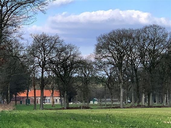 Het voordeel van wandelen... - Hamont-Achel