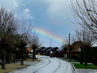 Het weer is alles behalve rooskleurig - Beringen & Leopoldsburg