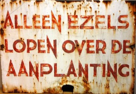 Het zwembad en de ezels - Overpelt