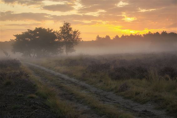 Heuvel, Blauwe Kei en centrum vanochtend - Lommel