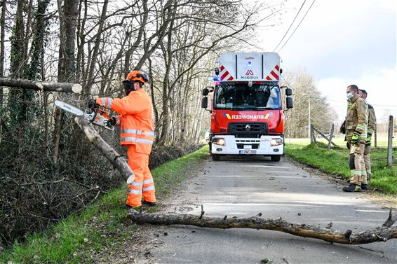 Hevige wind zorgt voor schade - Beringen