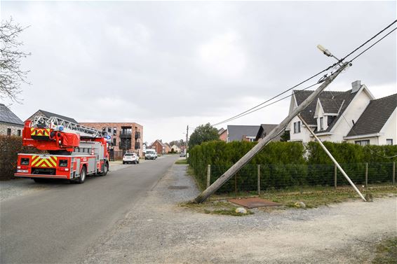 Hevige wind zorgt voor schade - Beringen