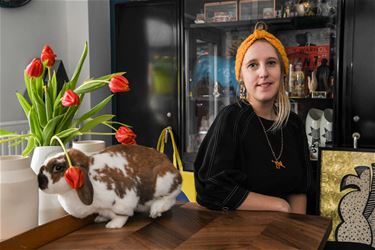 Hey Rabbit Design - Beringen