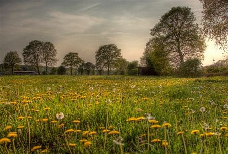 Hier komt de Leyssensmolen - Lommel