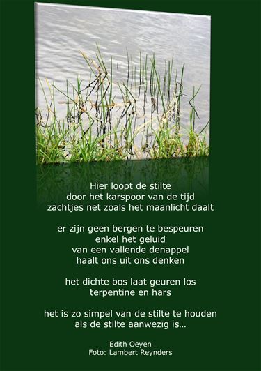 Hier loopt de stilte - Beringen & Leopoldsburg