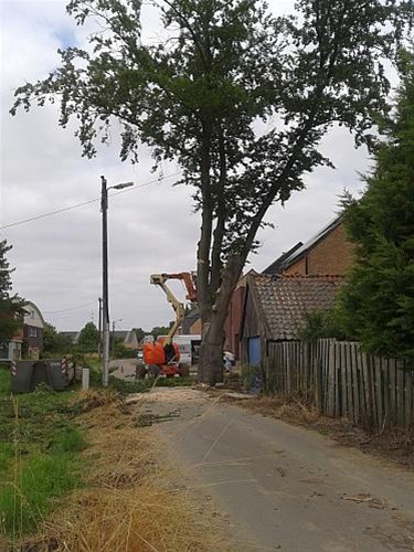 Hij stond in de weg... - Neerpelt