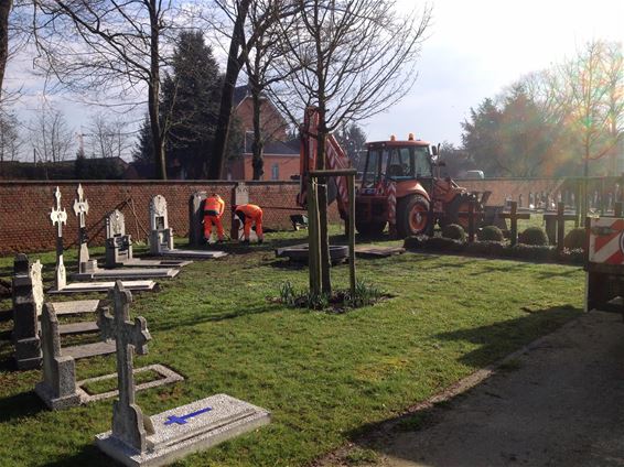 Historische graven krijgen opnieuw een plaats - Beringen