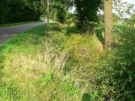 Historische schans wordt gerenoveerd - Neerpelt