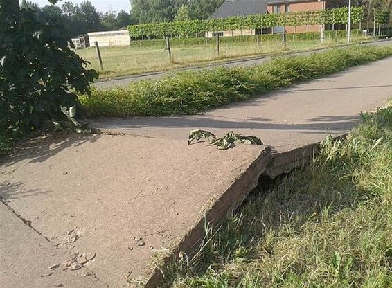 Hitte: fietspad omhoog gekomen - Peer