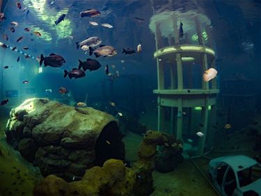 Hitte: gratis snorkelen in duikcentrum