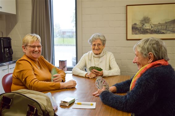 Hobbynamiddag Ferm Beverlo - Beringen