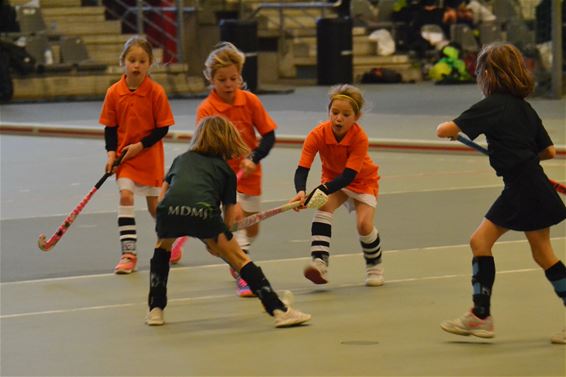 Hockey in de lift: groot toernooi in Soeverein - Lommel & Pelt