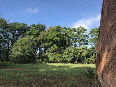 Hoe gezond is uw grond? - Beringen