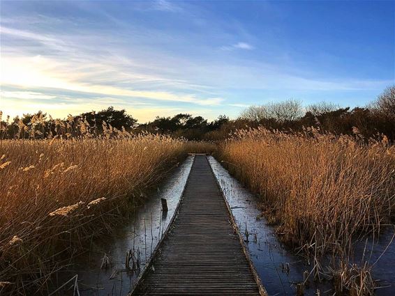 Hoe mooi het Hageven is in de winter... - Neerpelt