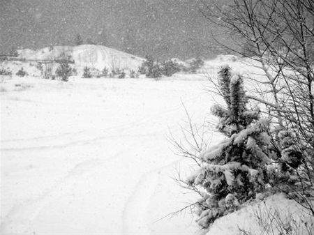 Hoe mooi sneeuw kan zijn - Neerpelt