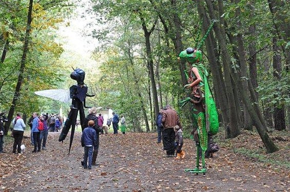 Hoe plezierig Bosland kan zijn... - Hechtel-Eksel