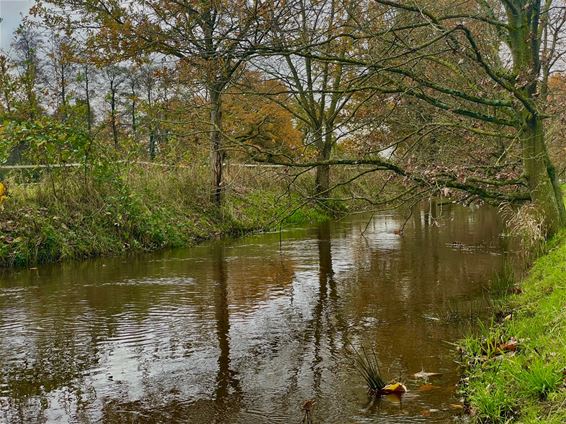 Hoge waterstanden - Beringen