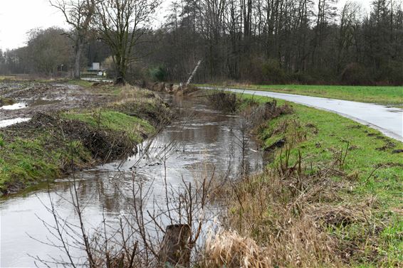 Hoge waterstanden - Beringen