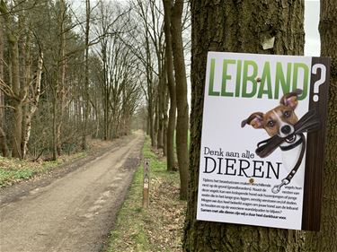 Hond aan de leiband houden...