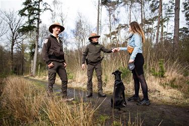 Honden aan de leiband