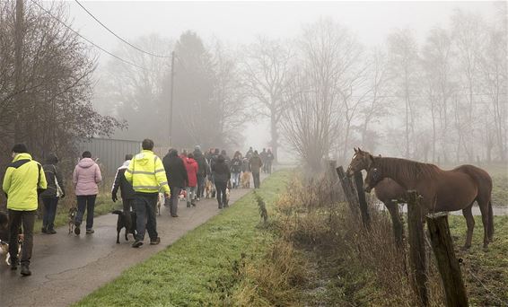 Honden en baasjes op wandel - Hamont-Achel