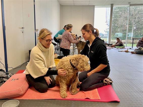 Honden genieten van een heerlijke massage - Beringen