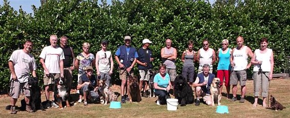 Honden trainden in tropische hitte - Hechtel-Eksel