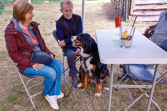 Hondenbar pop-upcafé komt naar Koersel - Beringen
