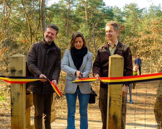 Hondenlosloopzone officieel geopend - Pelt