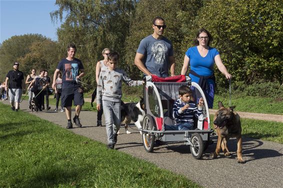 Hondenwandeling in Paal - Beringen