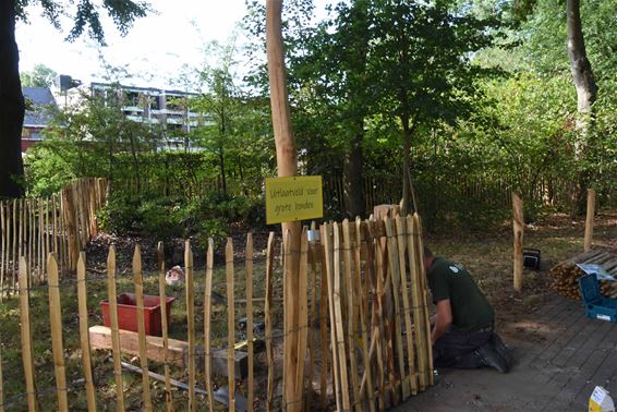 Hondenzones in park van Beverlo - Beringen