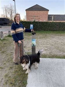 Hondepoepzuilen geplaatst - Leopoldsburg