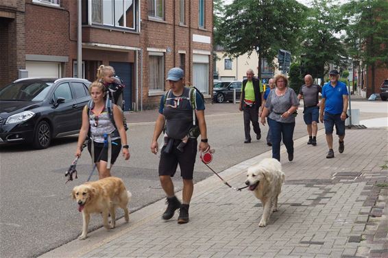 Hoogzomertocht Wandelend Paal - Beringen