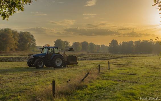 Hooien in de herfst... - Pelt