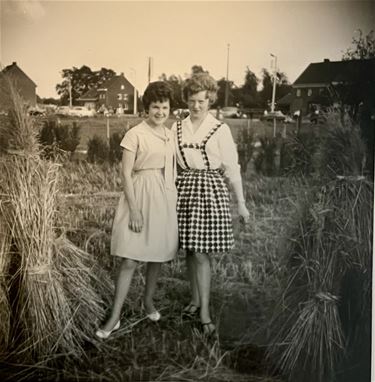 Hooimijten - Beringen & Leopoldsburg