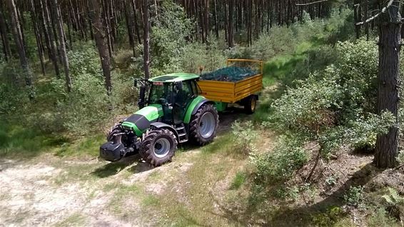 Hout sprokkelen tegen kinderarmoede - Hechtel-Eksel