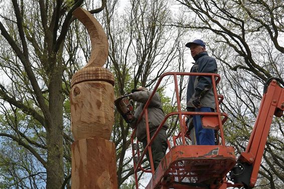 Houtsculptuur krijgt vorm in parkbos - Meeuwen-Gruitrode