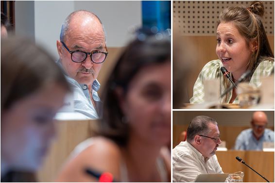 Huisdierenkaartje krijgt groen licht - Pelt