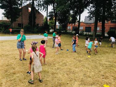 Hupsekwap zoekt te gekke helden! - Beringen