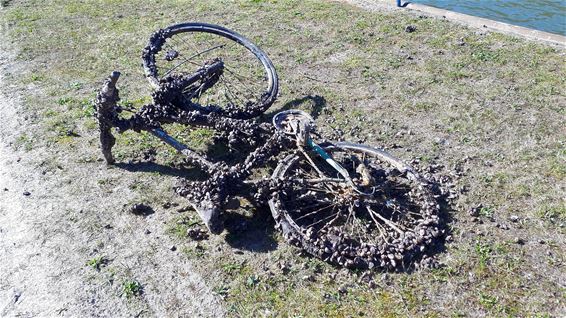 Iemand zijn fiets verloren? - Lommel