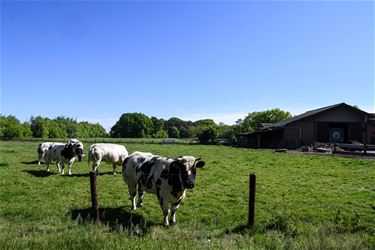 Iets meer landbouwbedrijven