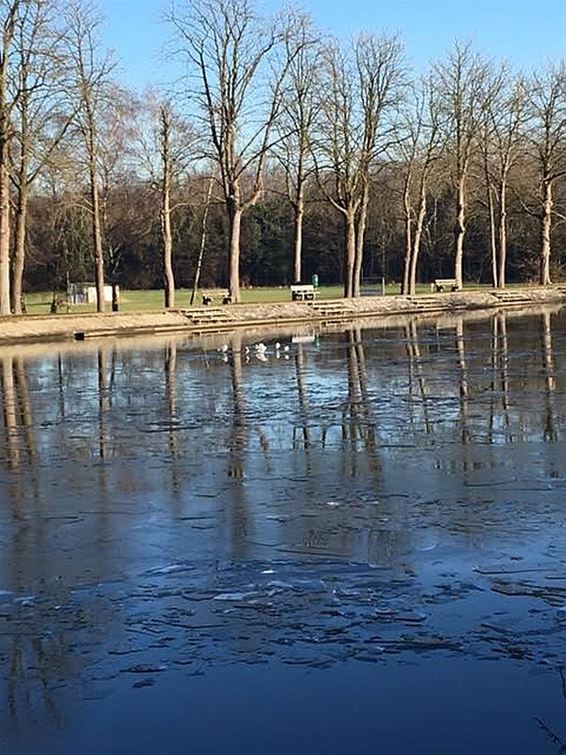 IJs op het kanaal - Neerpelt