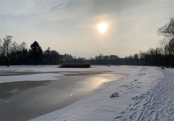 IJs op vijver van De Bever nog niet sterk - Hamont-Achel