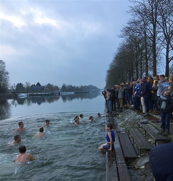 IJsberen bij de NWC - Neerpelt