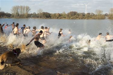 IJsberenduik in Paalse Plas - Beringen