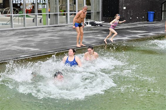 IJsberenduik Sportoase Beringen - Beringen