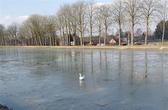 IJsvorming op het kanaal - Neerpelt