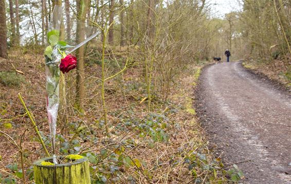 Ik geef je een roosje mijn roosje... - Lommel