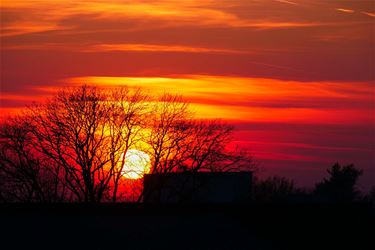 Ik heb de zon zien zakken... - Beringen