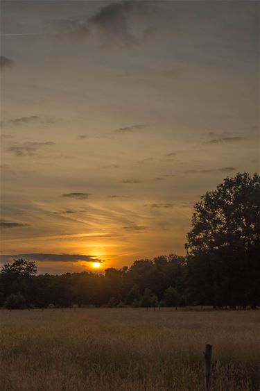 Ik heb de zon... - Overpelt